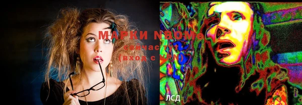 PSILOCYBIN Бугульма