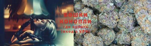 PSILOCYBIN Бугульма